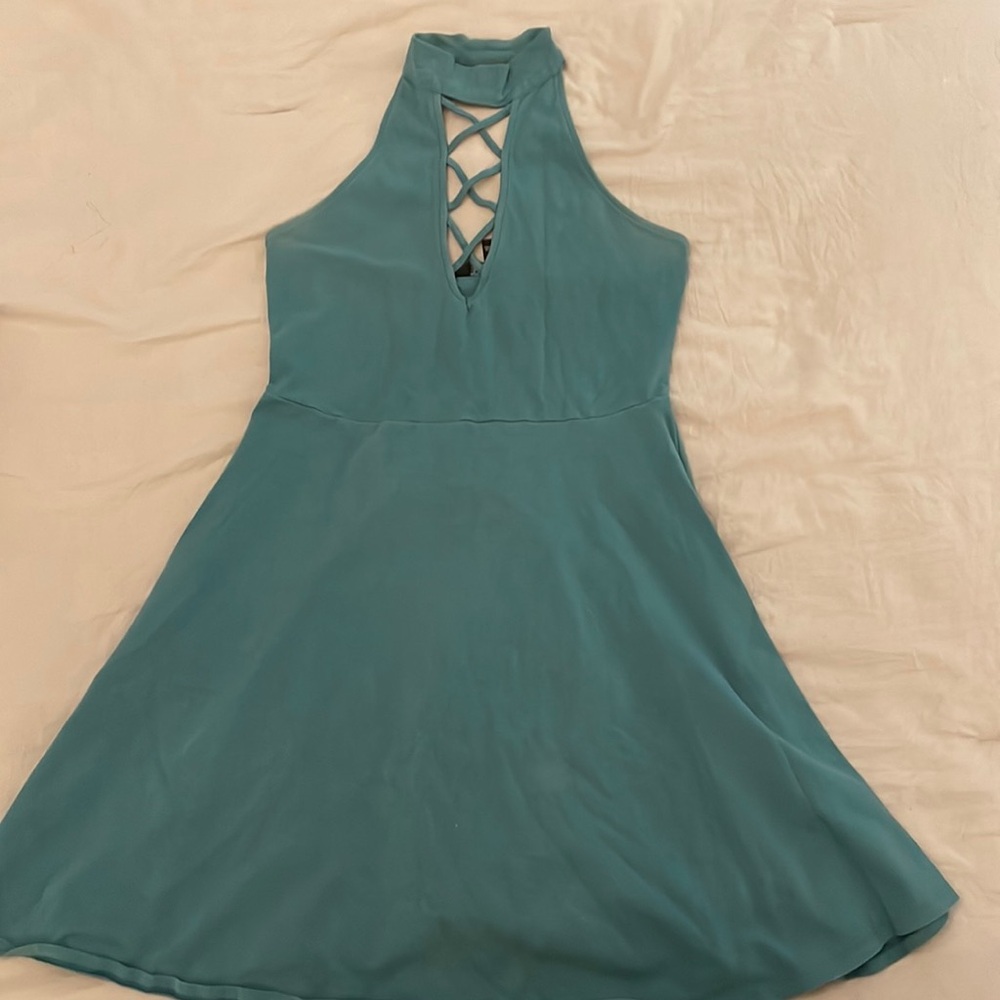 Express Skater Dress